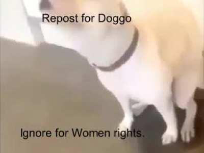 Dog>Wamen