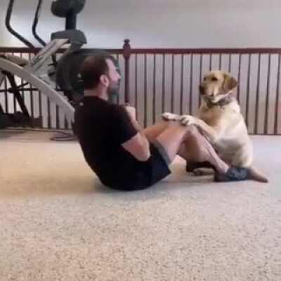 Doggo training his hooman dechonk