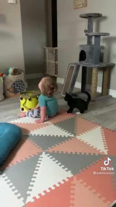 Cat ready to throw down with toddler tackle