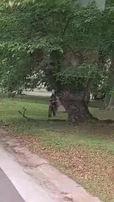 Georgia High-school Freshman tries to take Assault Rifle on school bus so he can “shoot up the school”