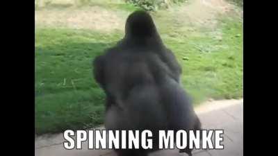 le spinning monke