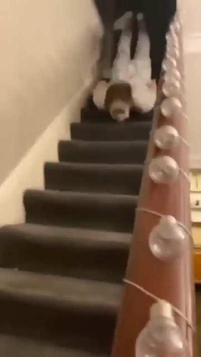 Sliding down the stairs