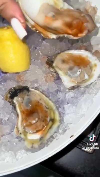 Date escapes after she ate 48 oysters and an entree. All he had was a glass of wine.