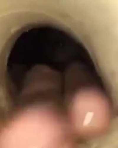 Poop POV