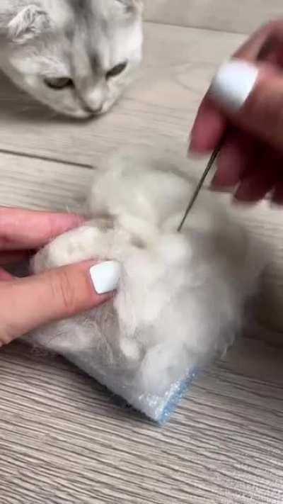 Making a Teddy Bear for the Cat