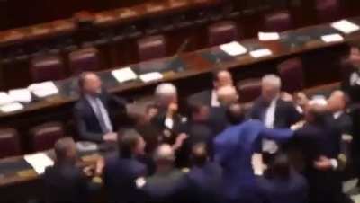 Italian member of parlament tries to give an Italian flag to another member of parlament. Chaos ensues