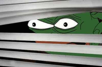 Pepe is Watching [GIF]