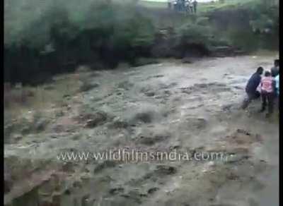 Family picnic by a waterfall goes awry - DoV