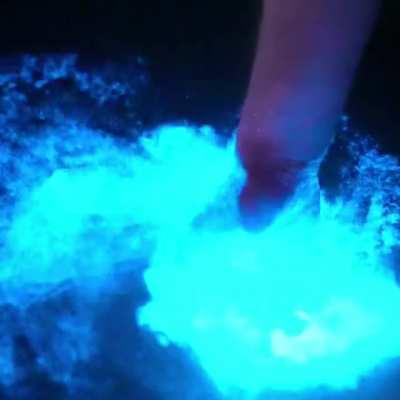 Bioluminescence (Location: Marina del Rey, California)