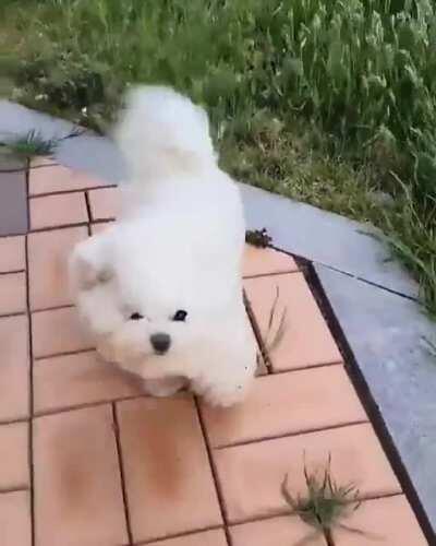 Little cloud trying not to fly .