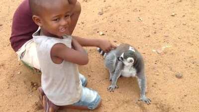 King Julian the Lemur asks for a back scratch. Won't take no for an answer.