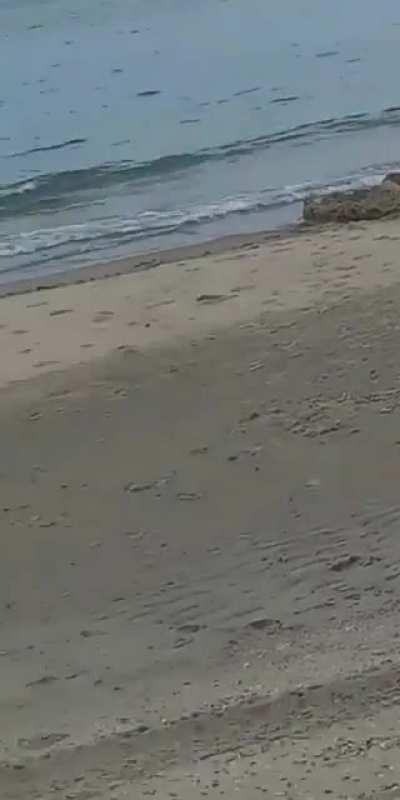 it's so easy to spot dads at a beach, just by looking at the sand hills