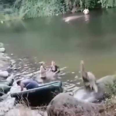 Oof