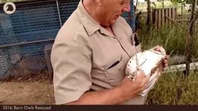 This is Martin. He rescues and releases birds of prey, sometimes caring for them for as long as a year and adopting ones that can't be released.