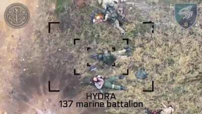 Russian solider blown to pieces with drone drop. Krynky region.