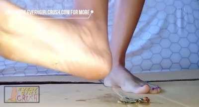 Asian feet vs locusts 