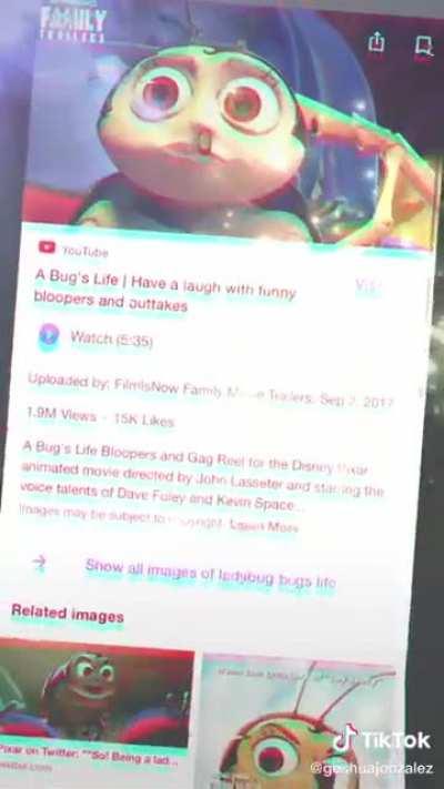 Guy thinks his brother in law looks like a character from Bug’s Life