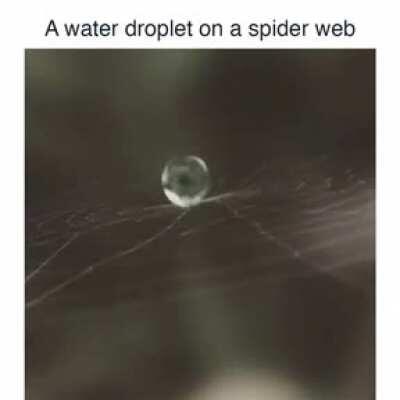 Water droplet found its trampoline