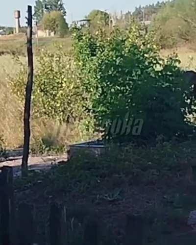 Ukrainian BTR-4 bucephalus spotted in the village of Giri, Kursk region.