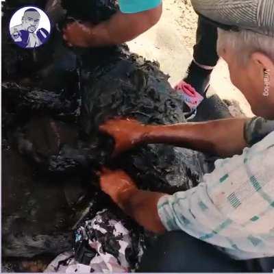 Rescuing dog from a pile of oil, they did not give up until they brought it back to life