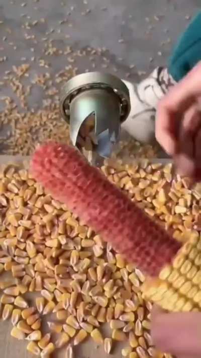 Removing Corn From The Cob