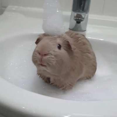 Bubble Bath