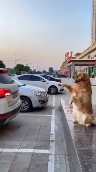 This car has Barking Assistance