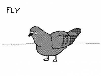 Pigeon learns to fly