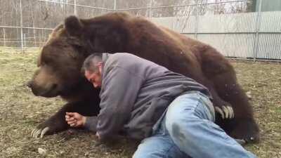 Bear Bonding with His Favorite Human