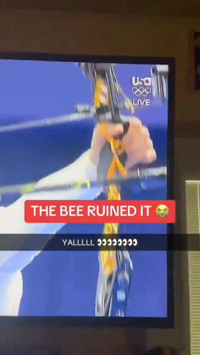 Years of training just for a bee to fuck it all up 😭😭