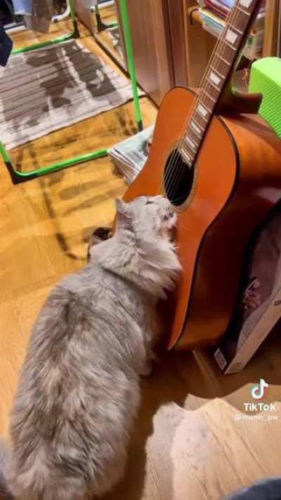 Touch tha guitar