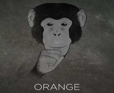 monke want orange??? 🤔🤔