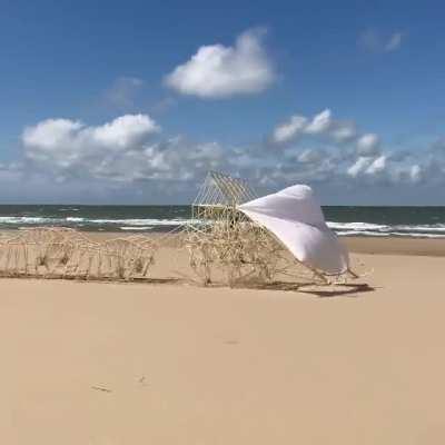 Kinetic “strandbeest” sculpture by Theo Jansen