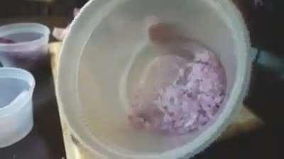 How To Cut Michelin Star Onions.