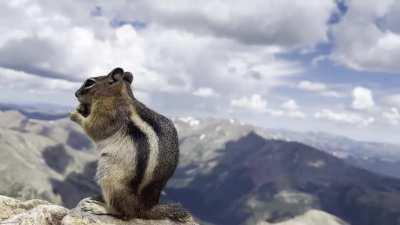 Chipmunk at 14,439’ (OC)