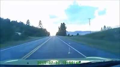 Hitting a deer at 120 km/h