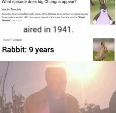 NOOOOOOOOOOOOOO! BIG CHUNGUS