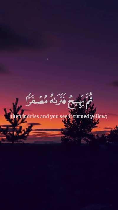 Surat Al Hadid…Aya {20}