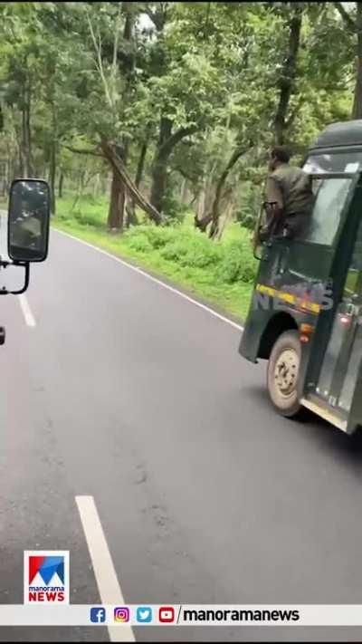 Idiot almost died after getting too close to a wild elephant to click pics. Saved thanks to the intervention of the forest rangers. Wayanad, Kerala, India.