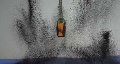 A Visual Display of a Magnetic Field