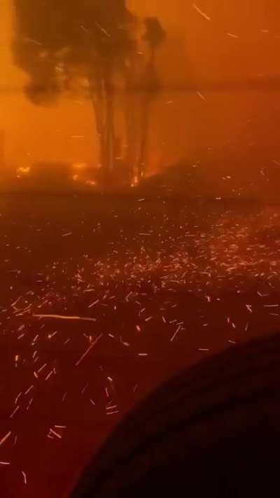 Forest fires in Chile