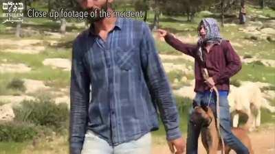 Israeli settlers terrorizing Palestinian shepherds in the West Bank