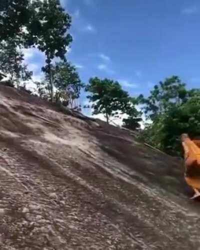 Monk climbs a steep hill with no ropes