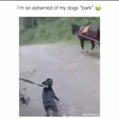 WCGW when u take your dog for a walk