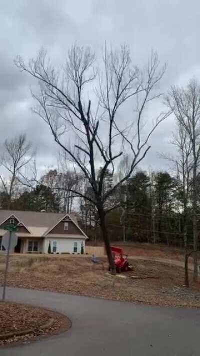 Cross posting... SDV style tree removal