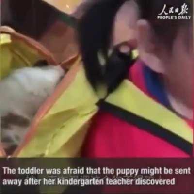 Toddler begs teacher not to hurt the stray puppy found in her backpack.