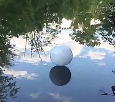 Smoke filled soap balloon bouncing on water surface