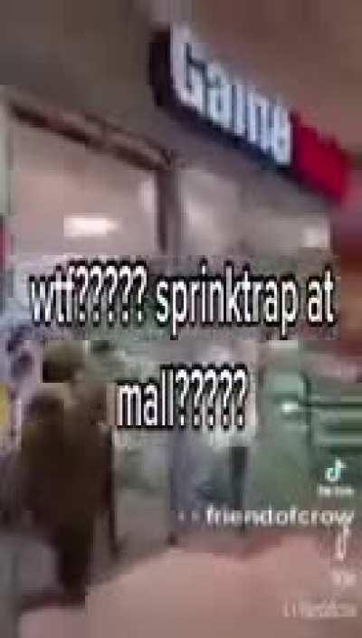 springbob will never go to the mall