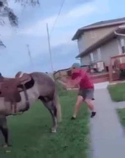 WCGW Trying to ride a horse