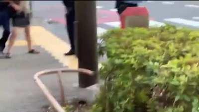 Chinese tourists kicking, punching and cursing on Japanese police